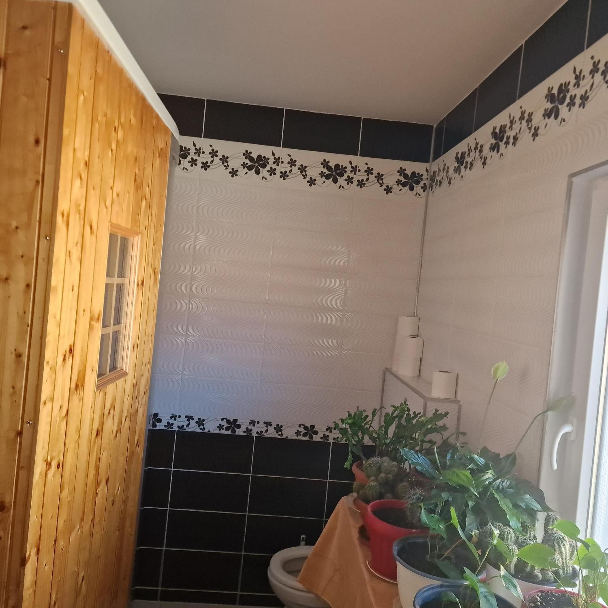 Casa Cojanu Hotell Petroşani Exteriör bild