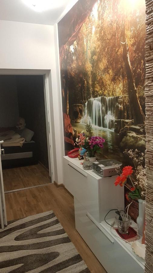 Casa Cojanu Hotell Petroşani Exteriör bild
